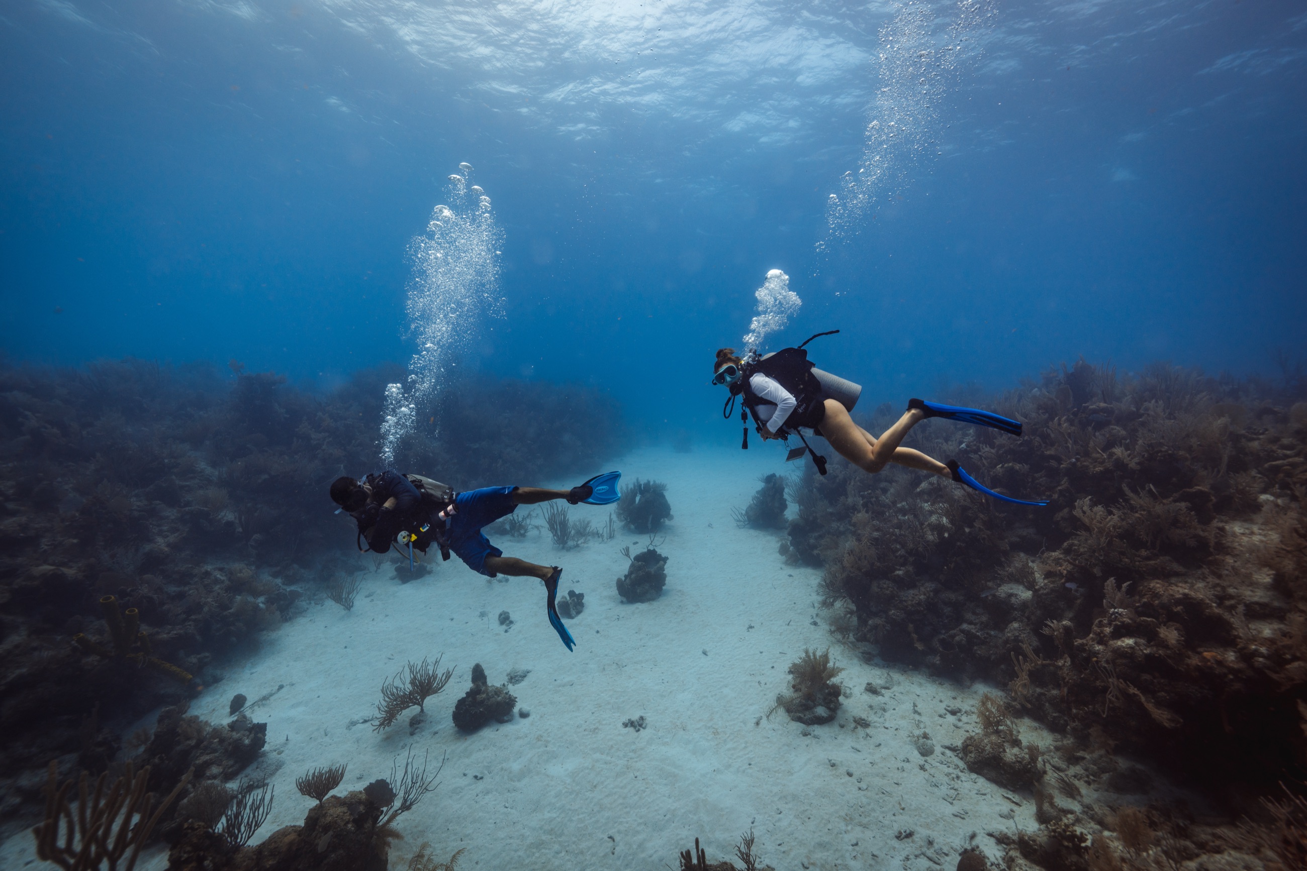 Two divers over the reef at Manta Island, Belize, shot by Steel House underwater