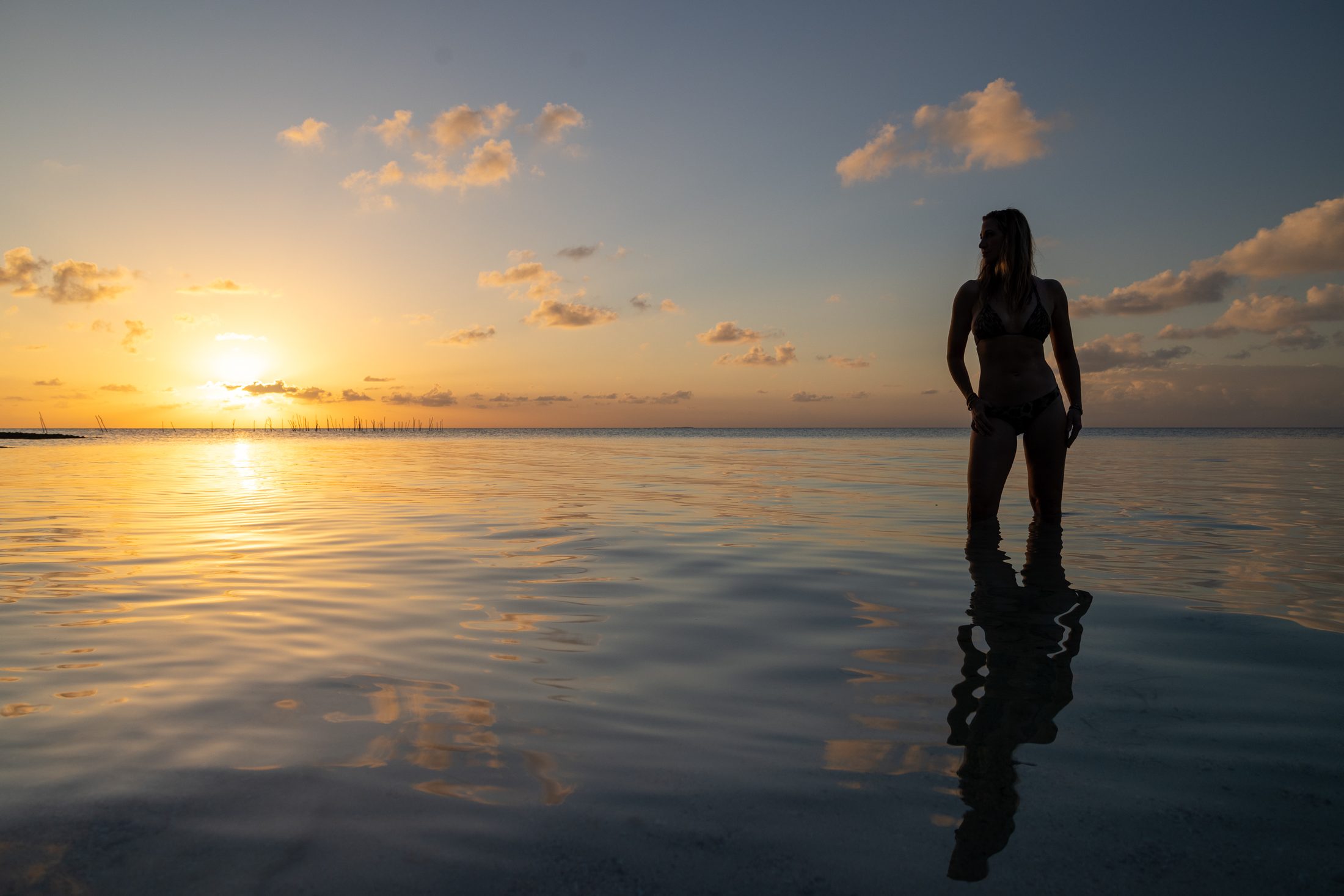 501 Adventure Tours: Steel House photography