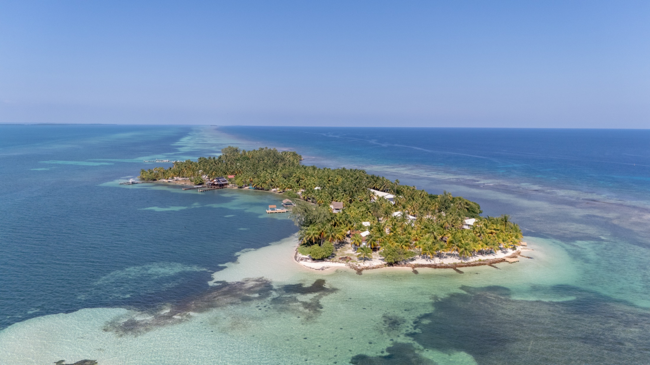Blue Marlin Beach Resort: Resort library