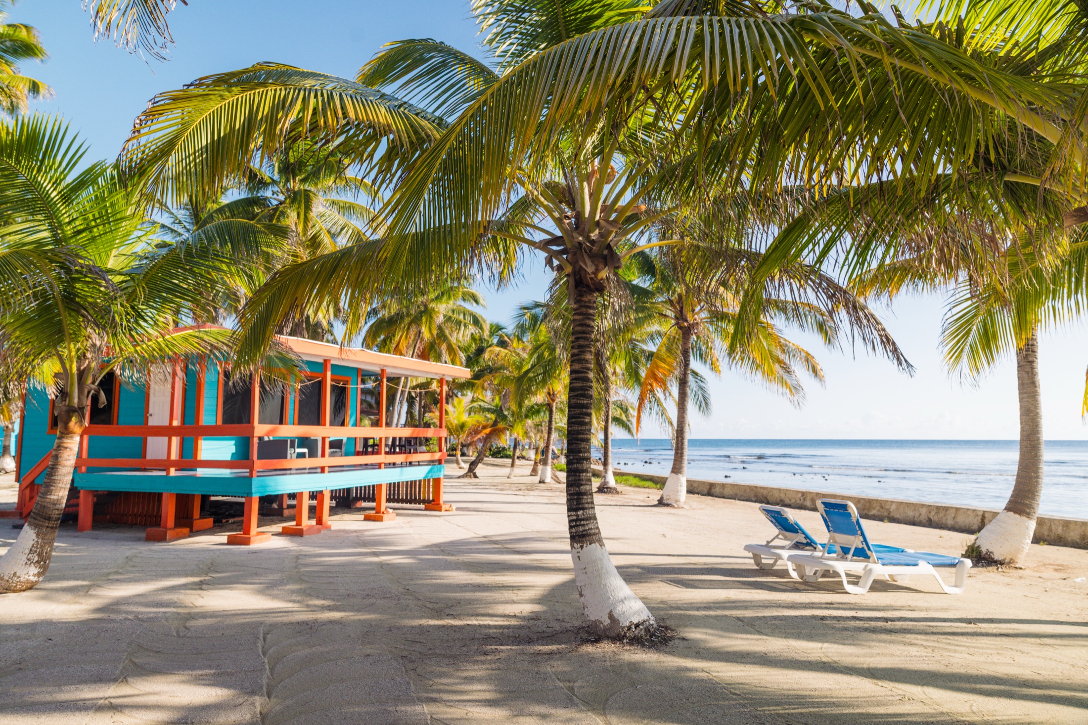 Blue Marlin Beach Resort: Steel House photography