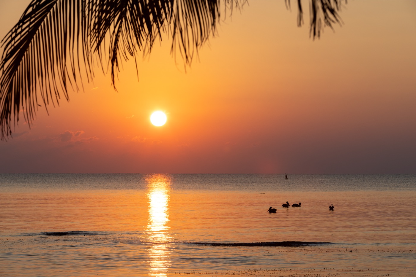 Blue Marlin Beach Resort: Steel House photography