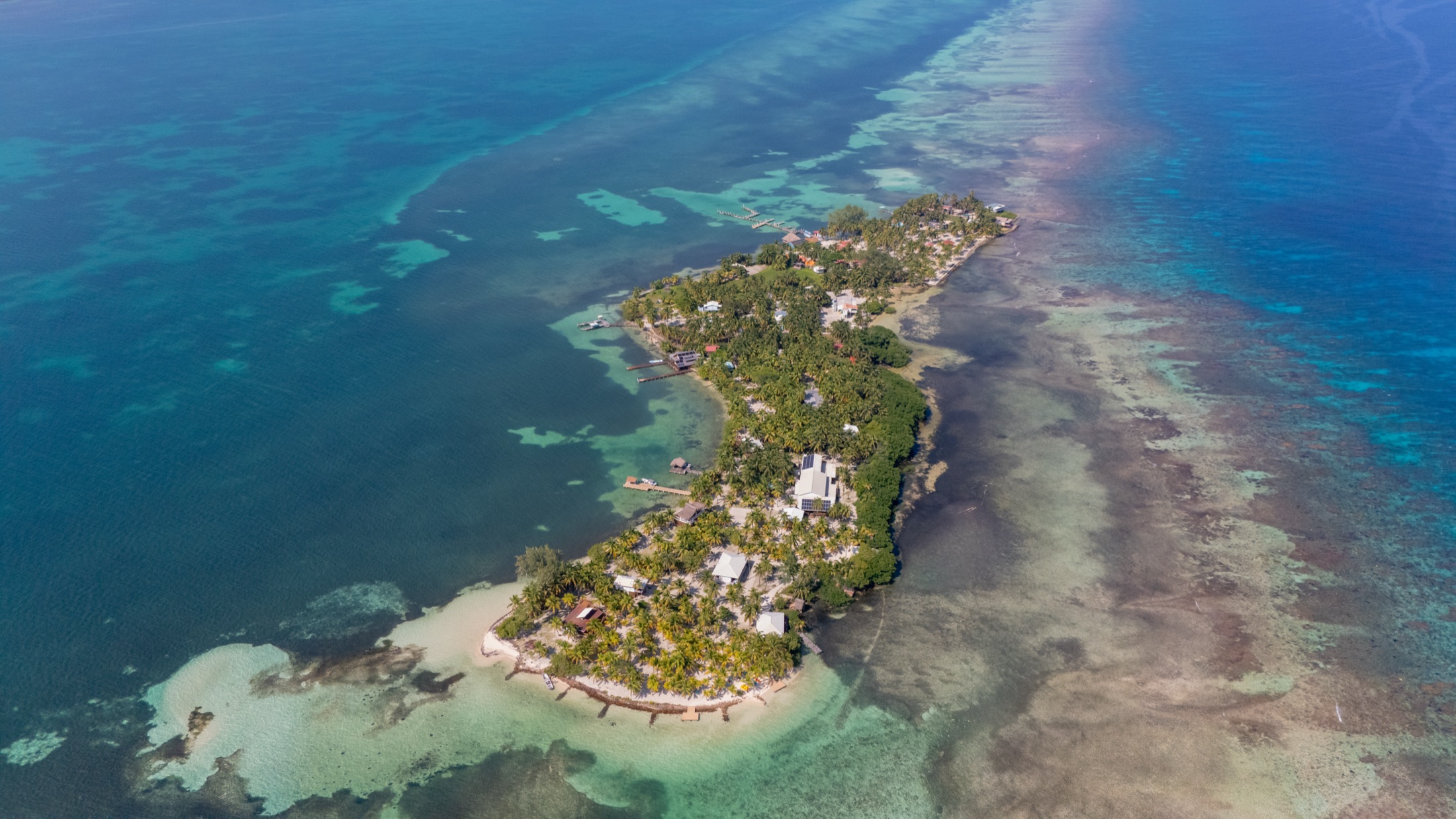Blue Marlin Beach Resort: Steel House photography