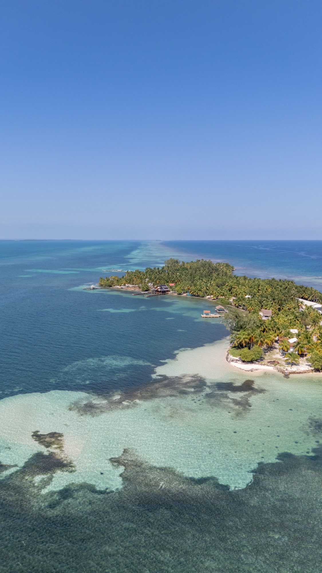 Blue Marlin Beach Resort: content by Steel House