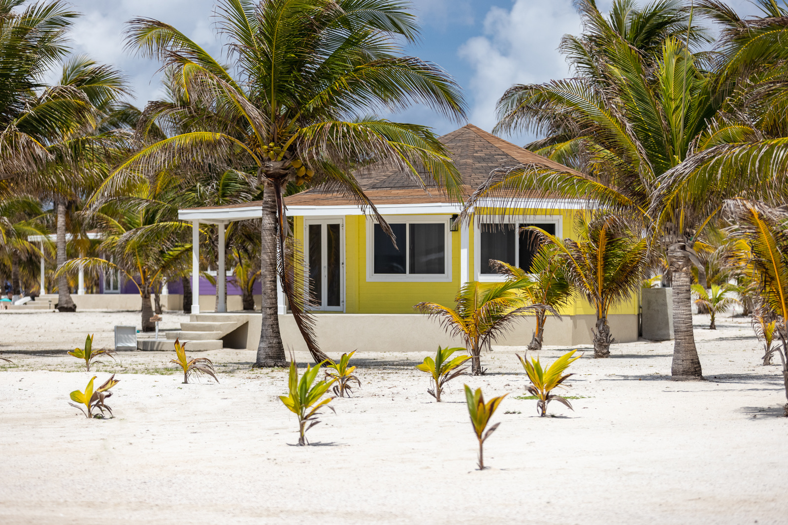Manta Island Resort: Steel House photography
