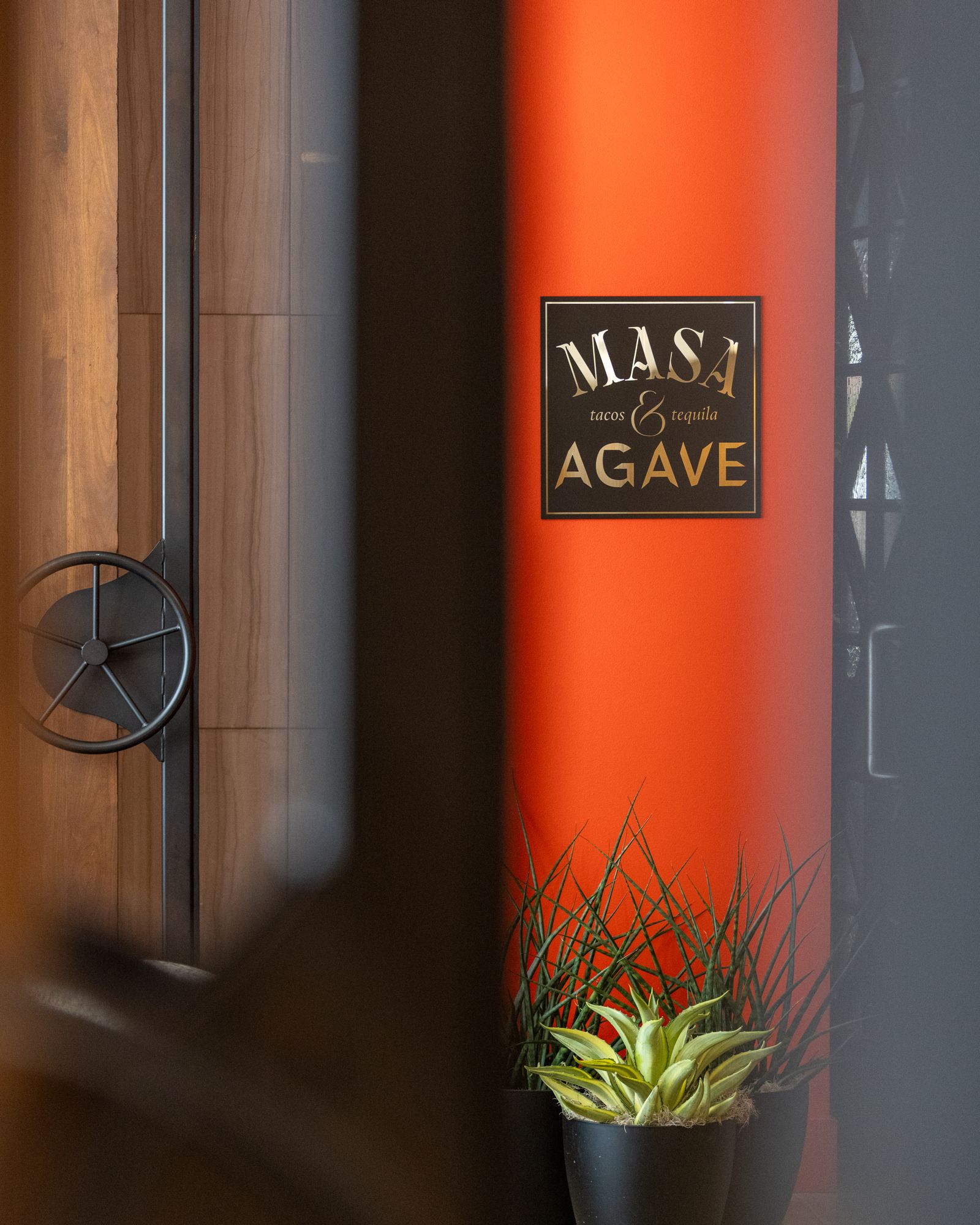Masa & Agave: Steel House photography