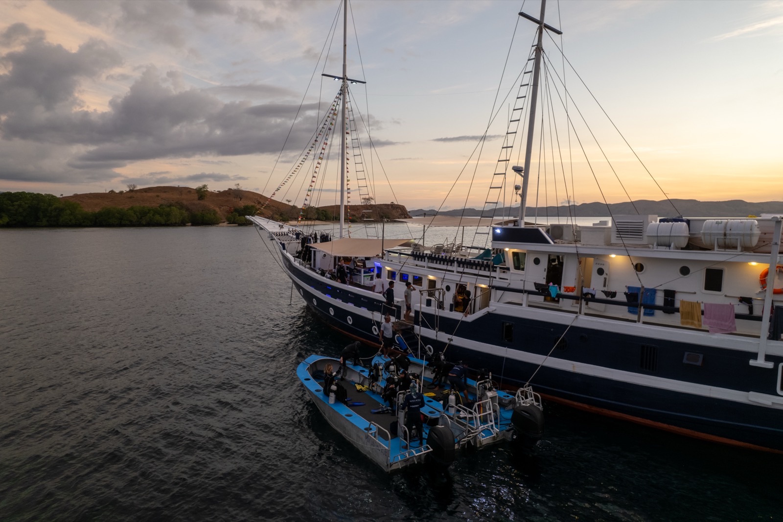 Wallacea Dive Cruises: Steel House photography