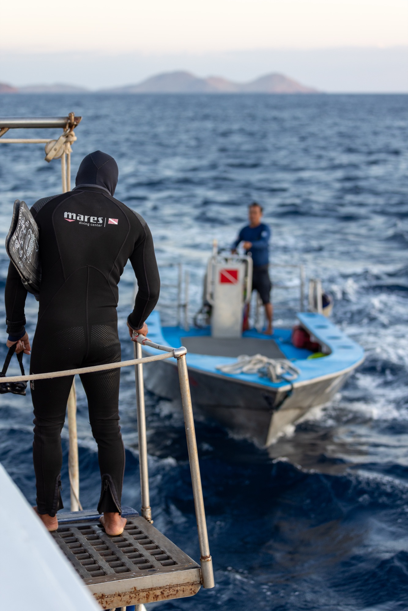 Wallacea Dive Cruises: Steel House photography