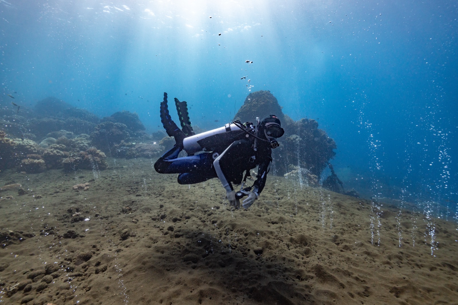 Wallacea Dive Cruises: Steel House photography